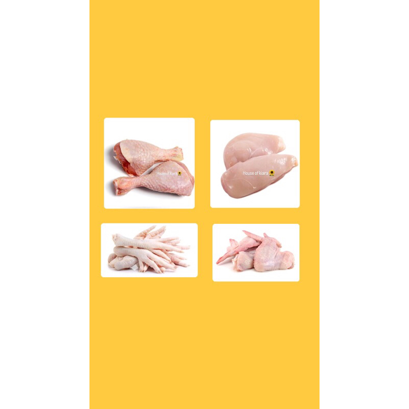 

paha ayam