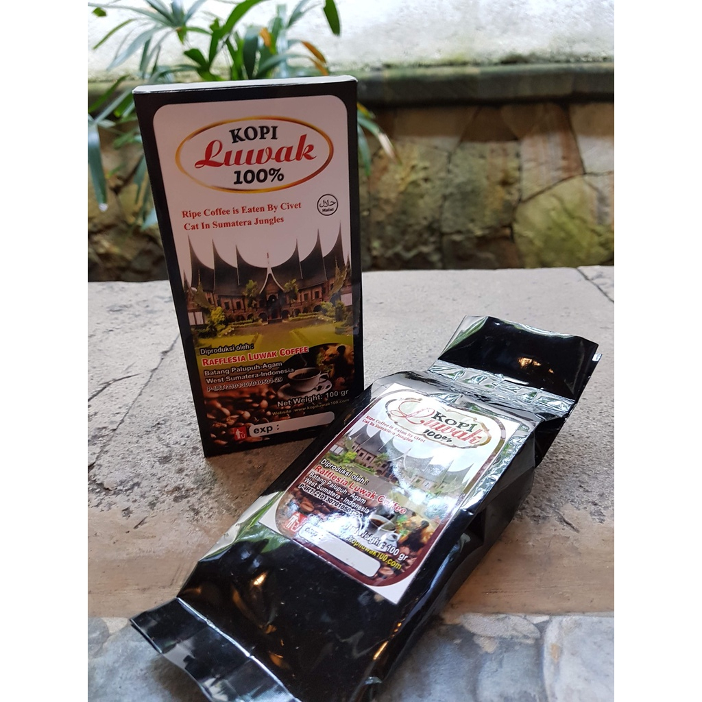 

Kopi luwak 100% 100 gram biji arabika Rafflesia Luwak Coffee