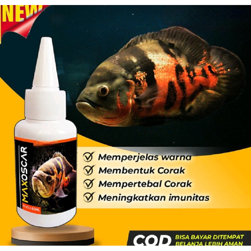 Obat Mutasi Ikan Oscar MAX OSCAR Vitamin Ikan Oscar Tiger Batik Albino Paris