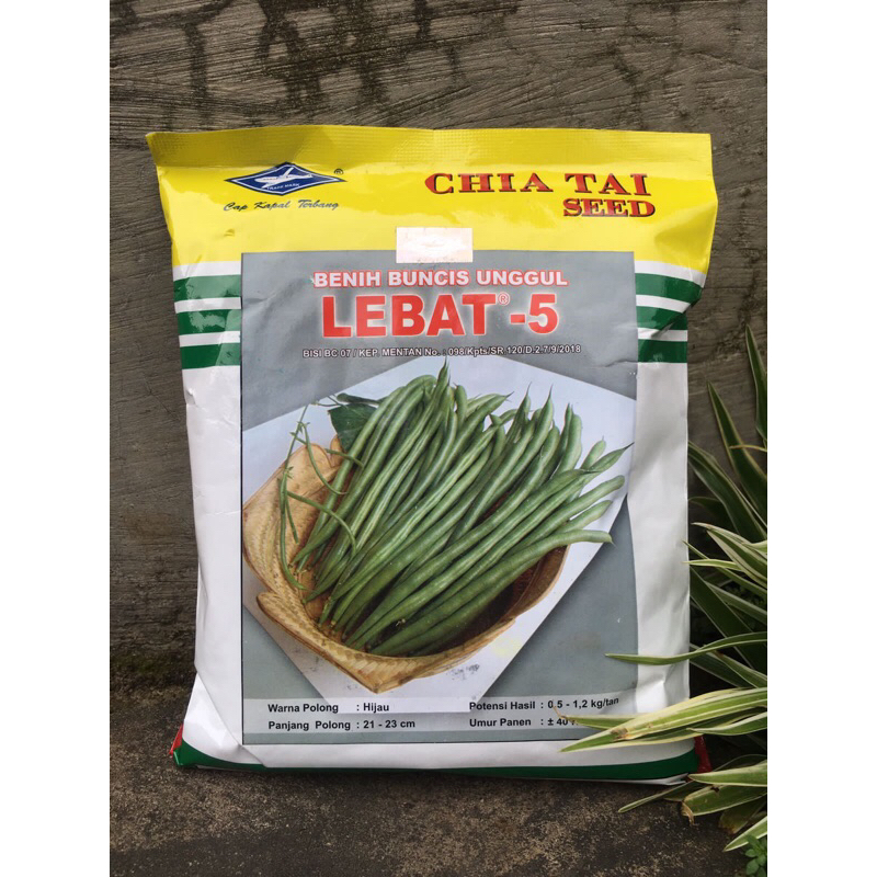 Benih Bibit Buncis Lebat 5 Kemasan 500 gram