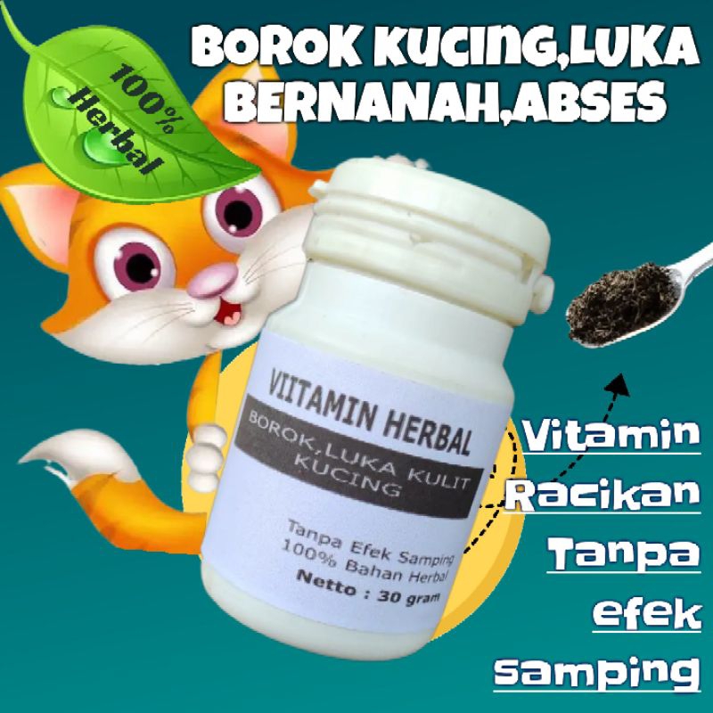 vitamin kucing abses borok luka luar Bernah