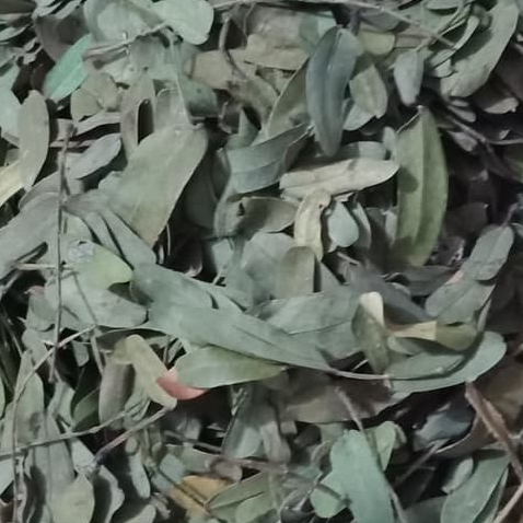 

TERBAIK JAMU DAUN ASAM JAWA KERING TAMARINDUS HERBAL 250 GRAM