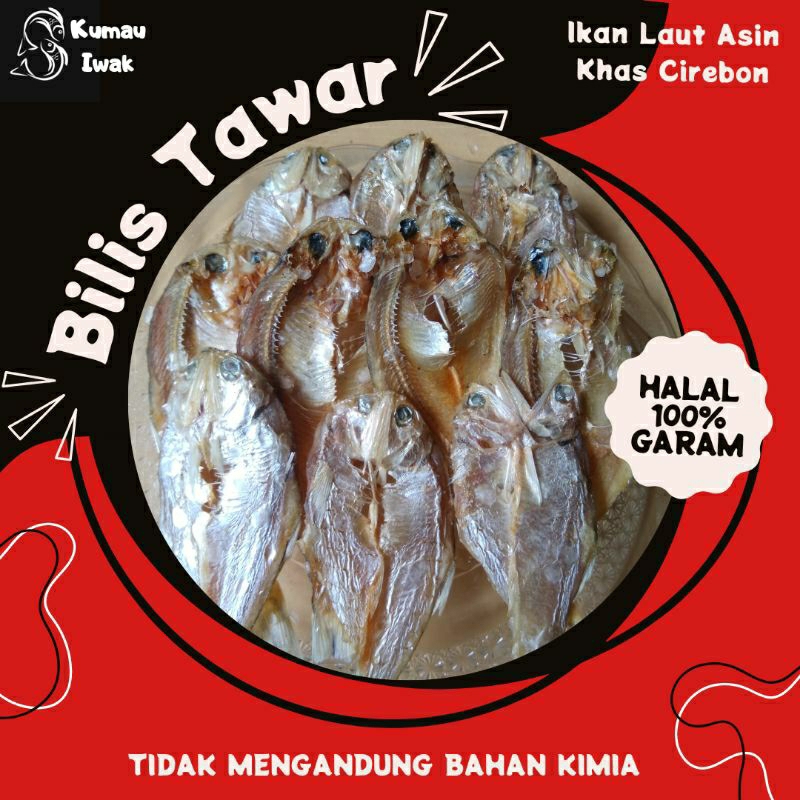 Bilis Rasa tawar Ikan asin Khas Cirebon diawetkan dengan Es