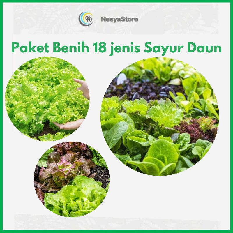 Paket Benih 18 Jenis Sayur Daun Premium Berkualitas Benih Sayuran Rumahan