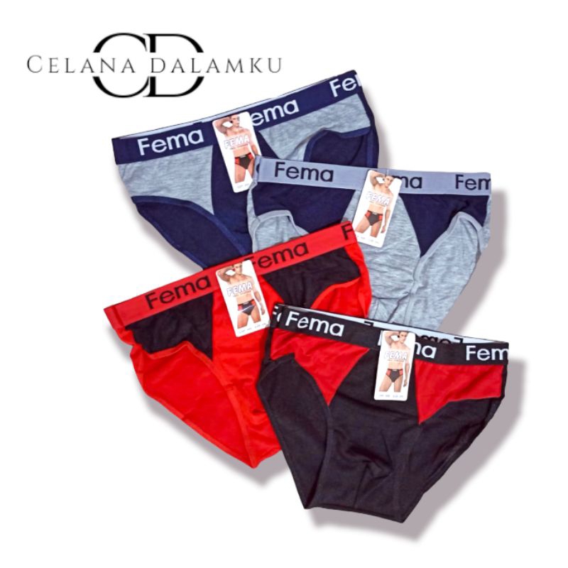 Celana dalam pria Lusinan Celana dalam adem molor