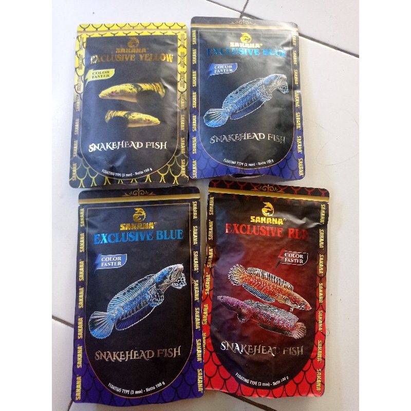 rekber golden Tiger limbata 20e