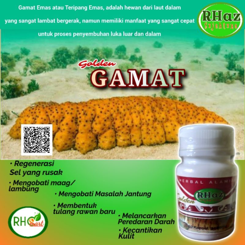 Gamat Kapsul G-Sea Cucumber