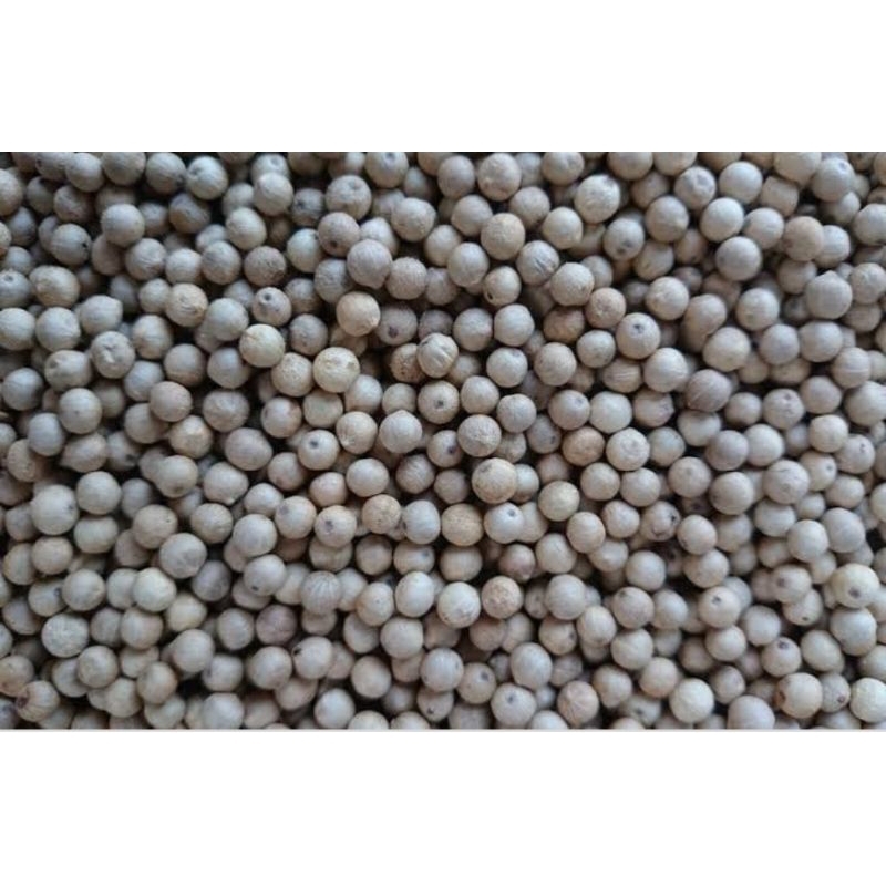 

merica/lada bulat Bangka 500gr