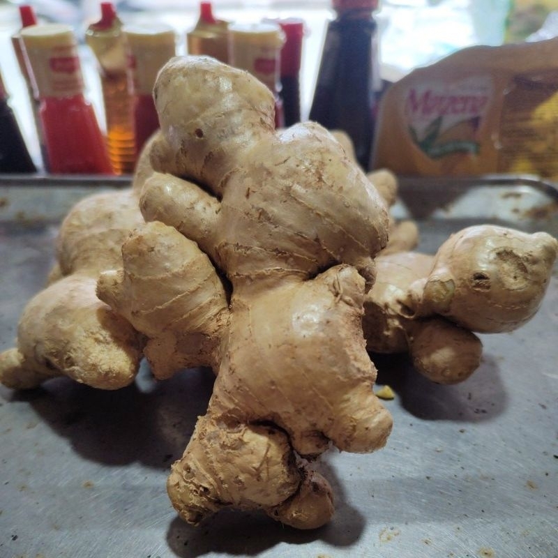 

bumbu dapur base base jahe murah ginger jahe gajah