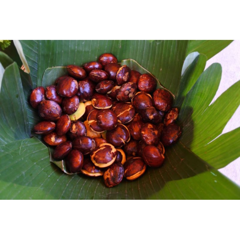 

Jengkol BW Segar 500 gram