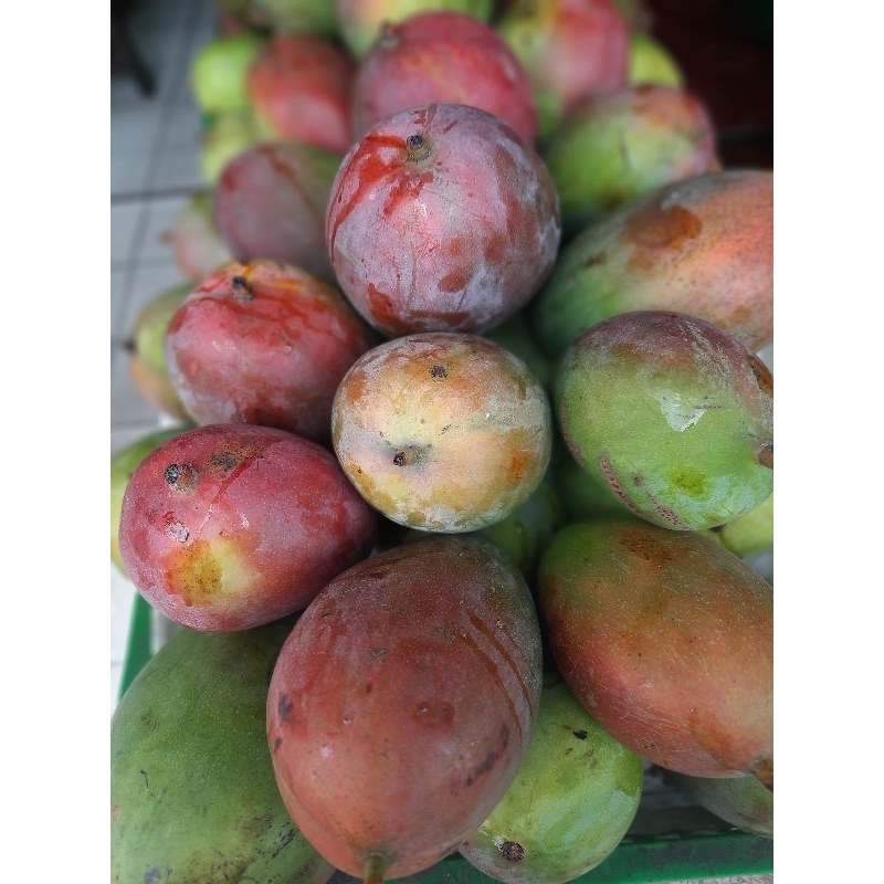

Mangga Brazil/Erwin 1kg