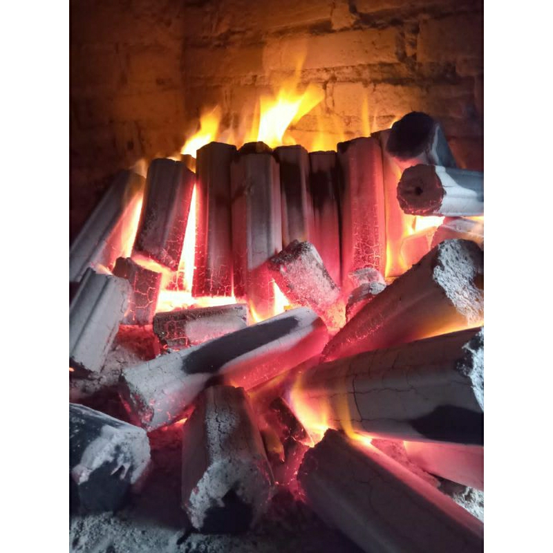 Briket Arang Batok Kelapa Hexagonal 1kg