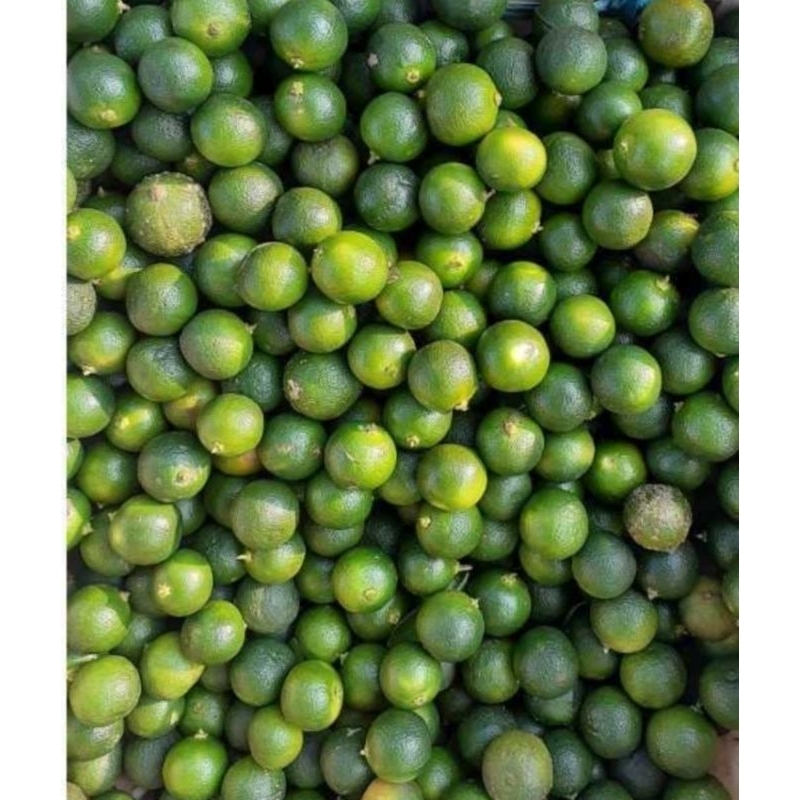 

jeruk sonkit 500grm
