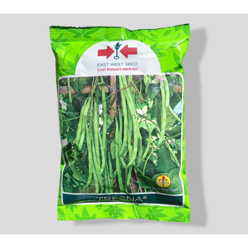 Benih KACANG BUNCIS TRESNA 500 gr ( Original )