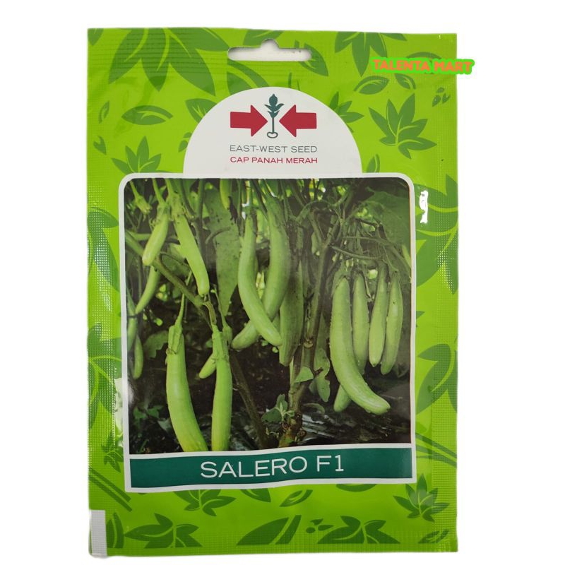5 GRAM (1.100 BUTIR)  BENIH TERONG HIJAU PANJANG SALERO F1 EXP 2023