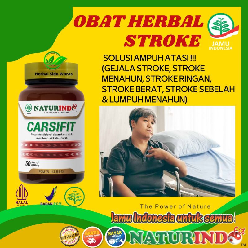 Obat Stroke Ampuh Obat Stroke Lumpuh Separo Sebelah Menahun Paling Ampuh Obat Stroke Angkung Obat He