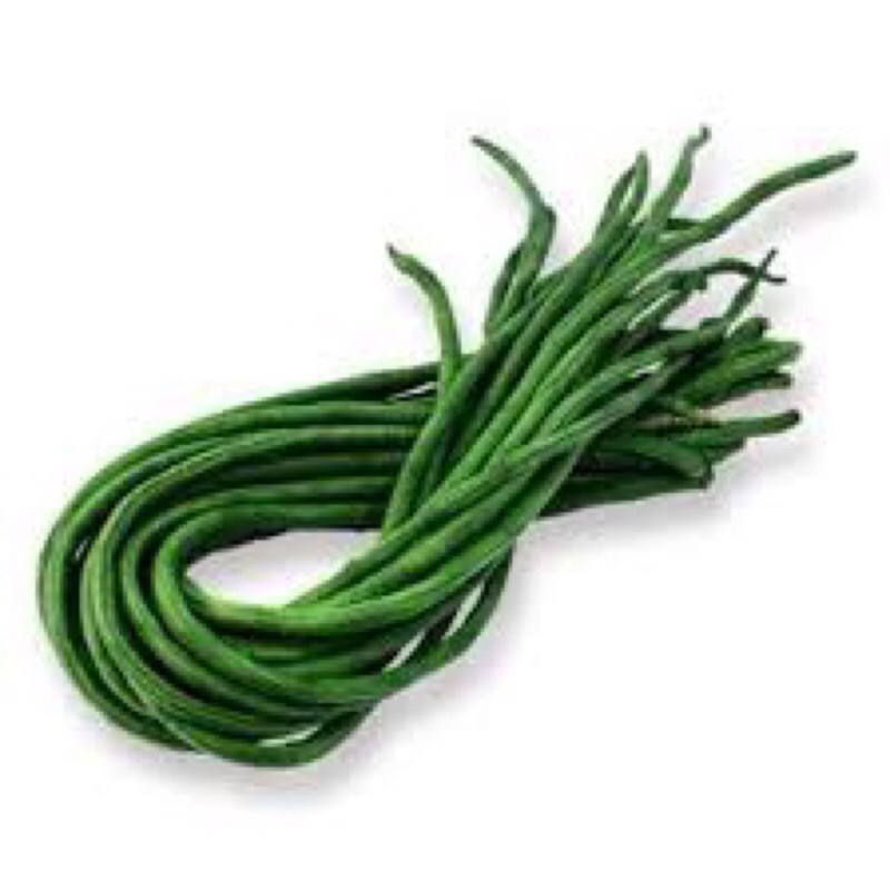 

KACANG PANJANG 250 GRAM