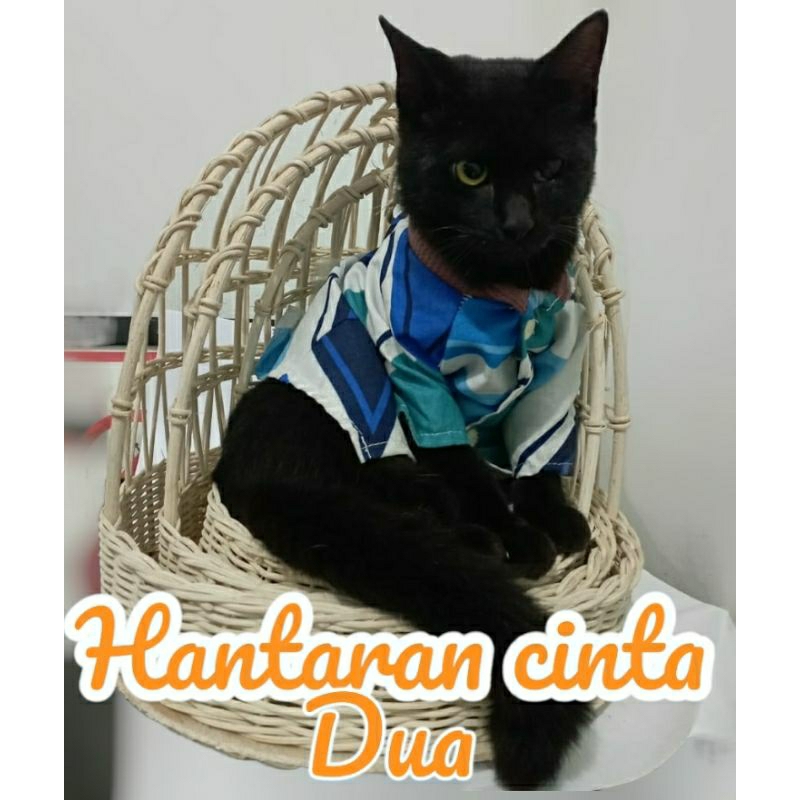 keranjang rotan sangkar cantik rotan seserahan hantaran pernikahan keranjang hantaran rotan parcel s