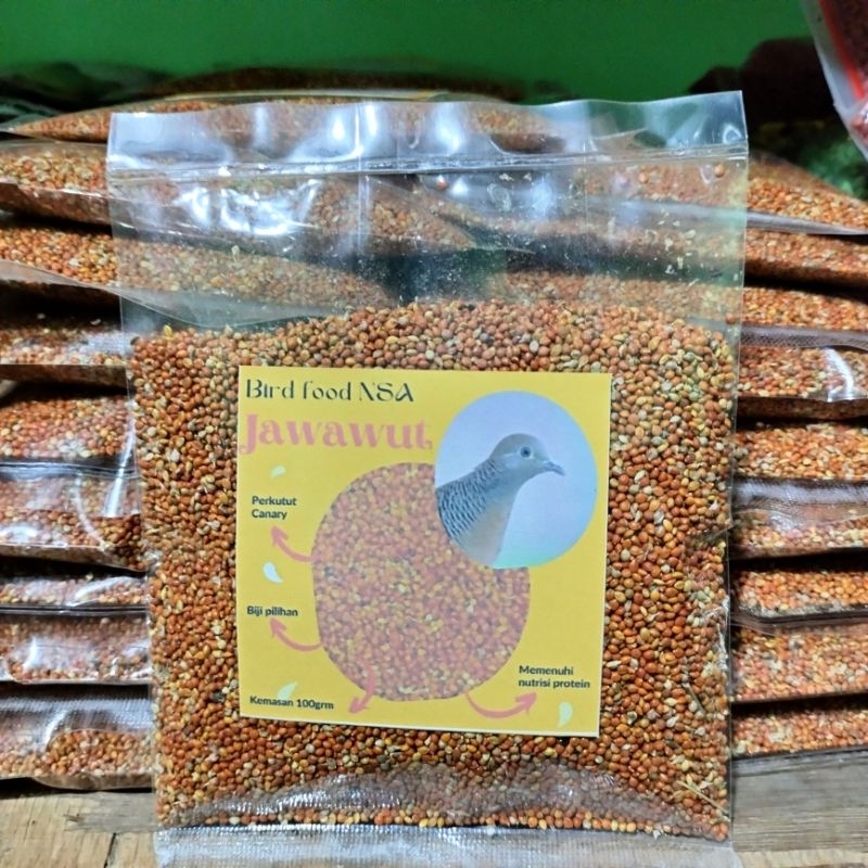jewawut jawaut pakan burung parkit perkutut kenari