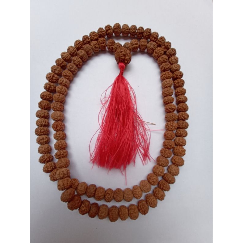 Japamala Rudraksa 108 Ginitri Mala Original