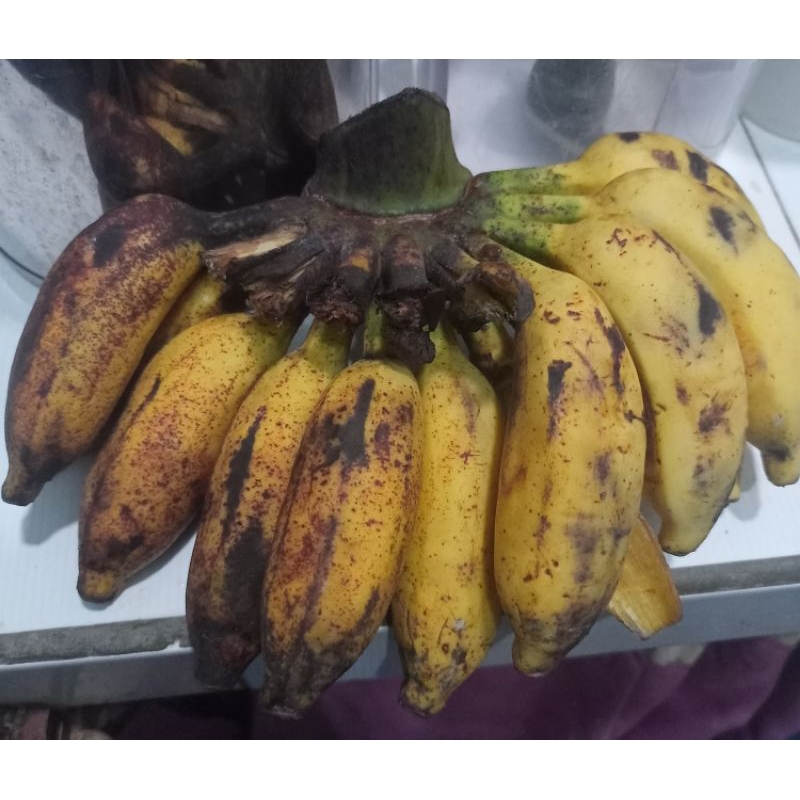 

pisang fattah lamongan