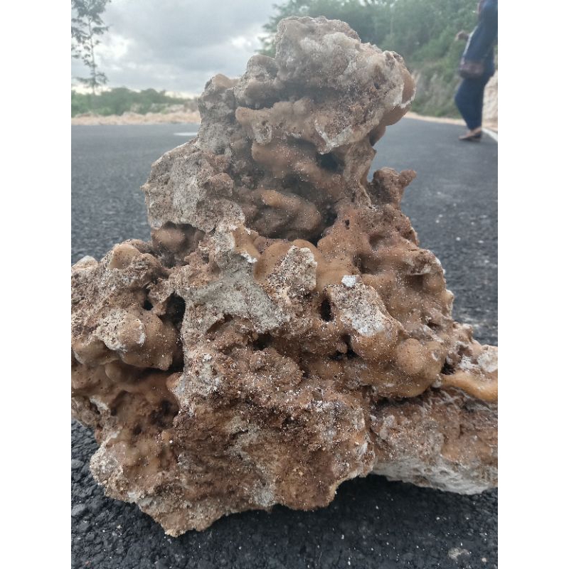 Batu karang aquascape Batu kaca