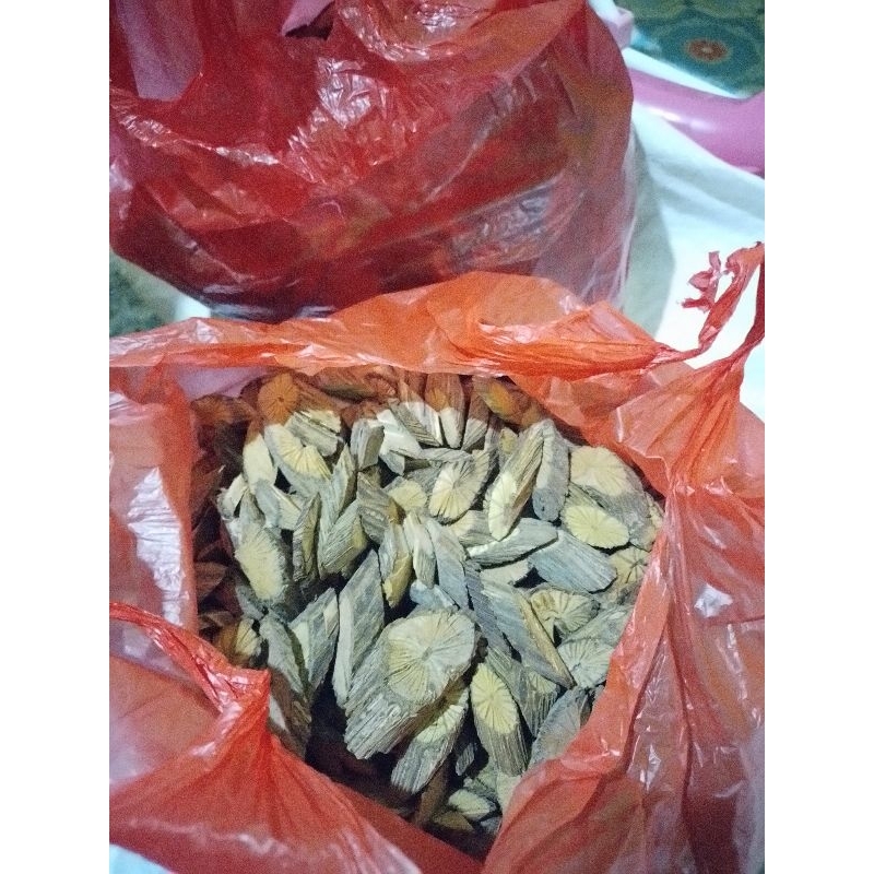 akar kayu bajaka dan akar kuning asli kalimantan