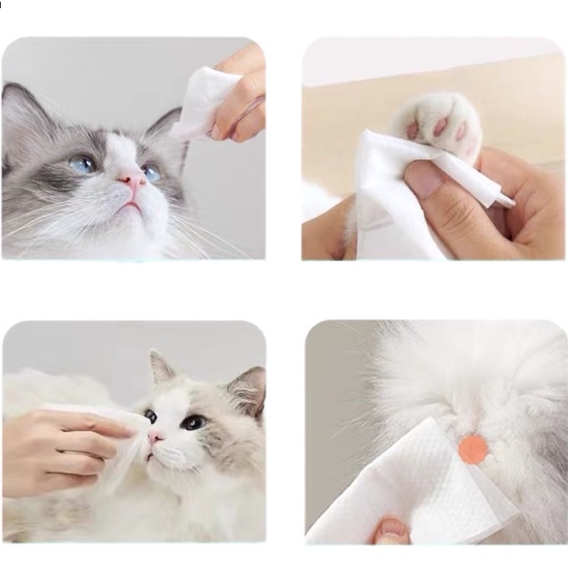 Pet Wipes - Tissue Basah Hewan Anjing Kucing