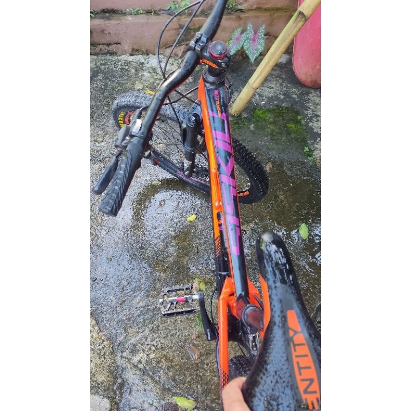 frame Polygon D5 size S