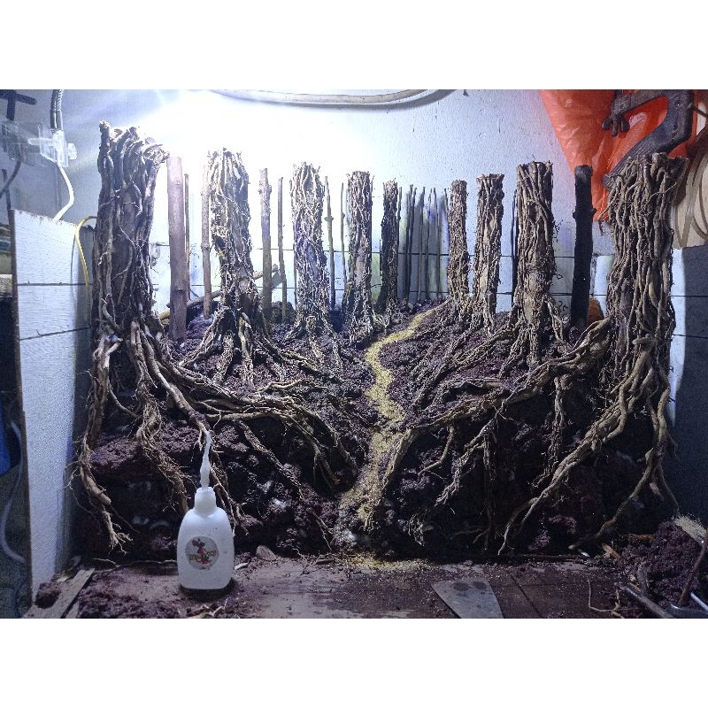 Harscape jungle aquascape/aquarium