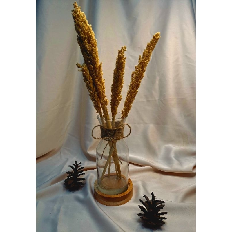 Vas Bunga Kaca/Vas Kaca Bunga Hias/Pot Tanaman Air