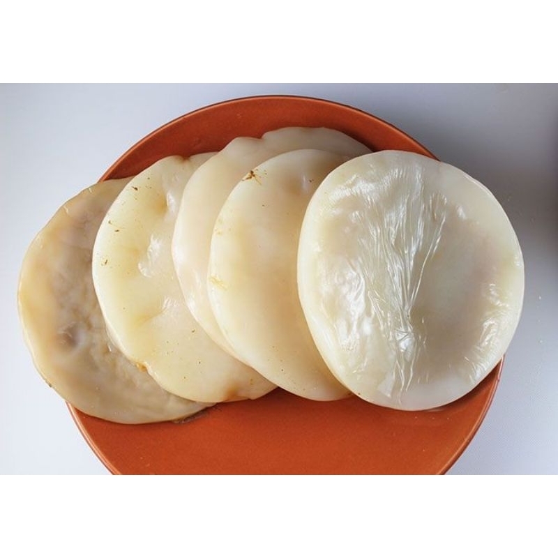 

Bibit Scoby Kombucha diameter 6-7 cm