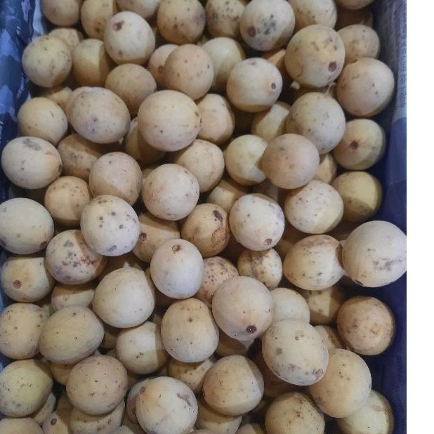 

Duku Palembang manis