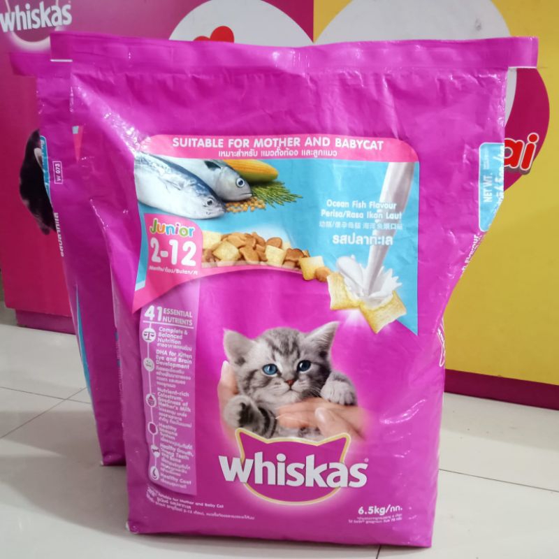 Whiskas Junior Ocean Fish 6,5kg (Ekspedisi) makanan kucing anakan junior whiskas