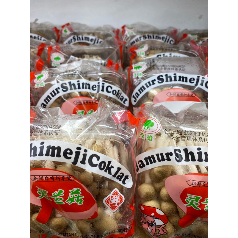 

Jamur Shimeji Coklat