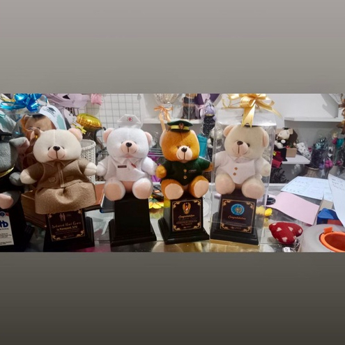 Piala Profesi | Piala Boneka Polisi | Piala Boneka TNI | Piala Boneka Dokter | Piala Boneka Perawat | Guru | DLL