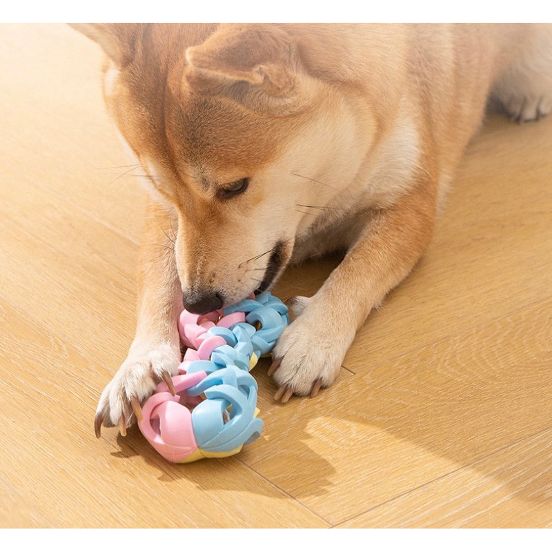 Lightning and ringing junko pastel rubber chewing bone