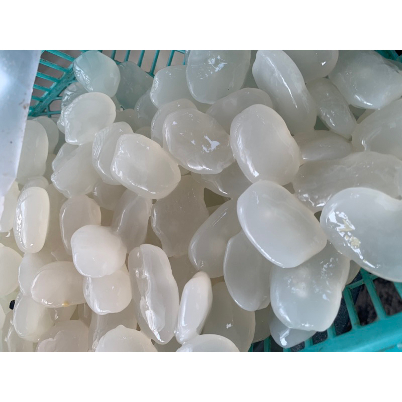 

kolang kaling fresh