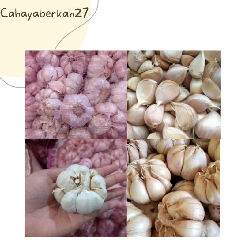 

Bawang Putih Banci 1Kg