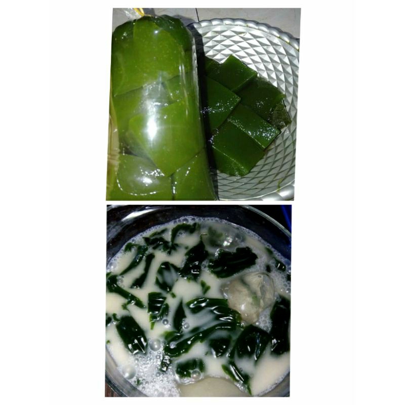 

ABU DAUN CINCAU PERDU Pengenyal Cincau