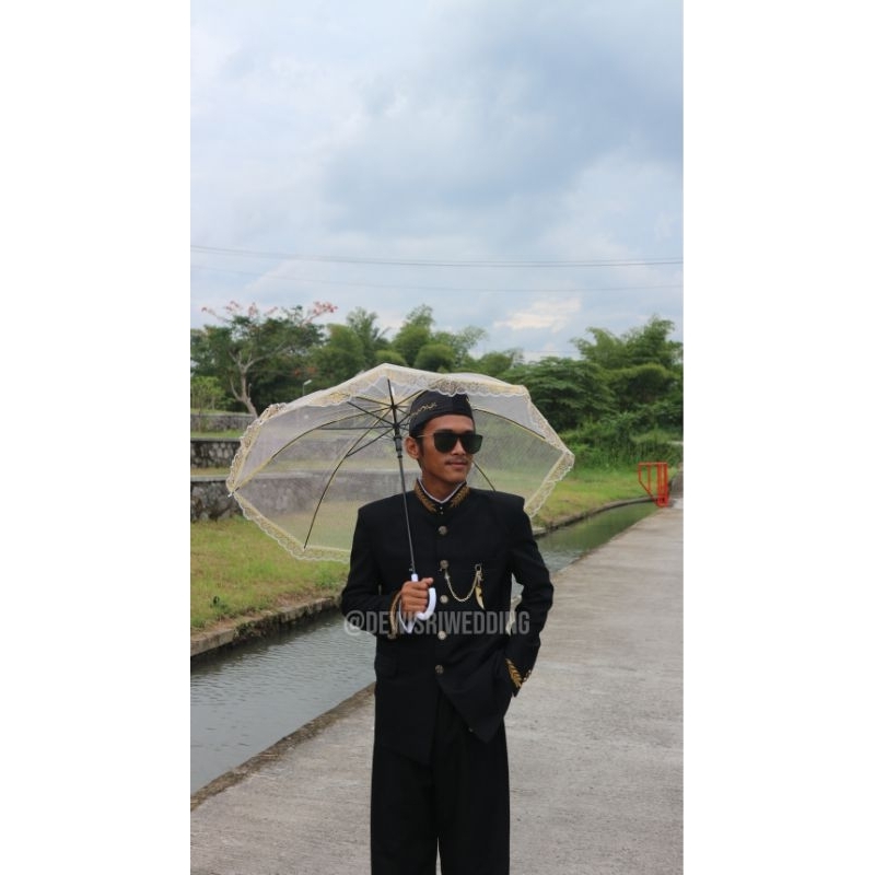 Stelan basofi dewasa