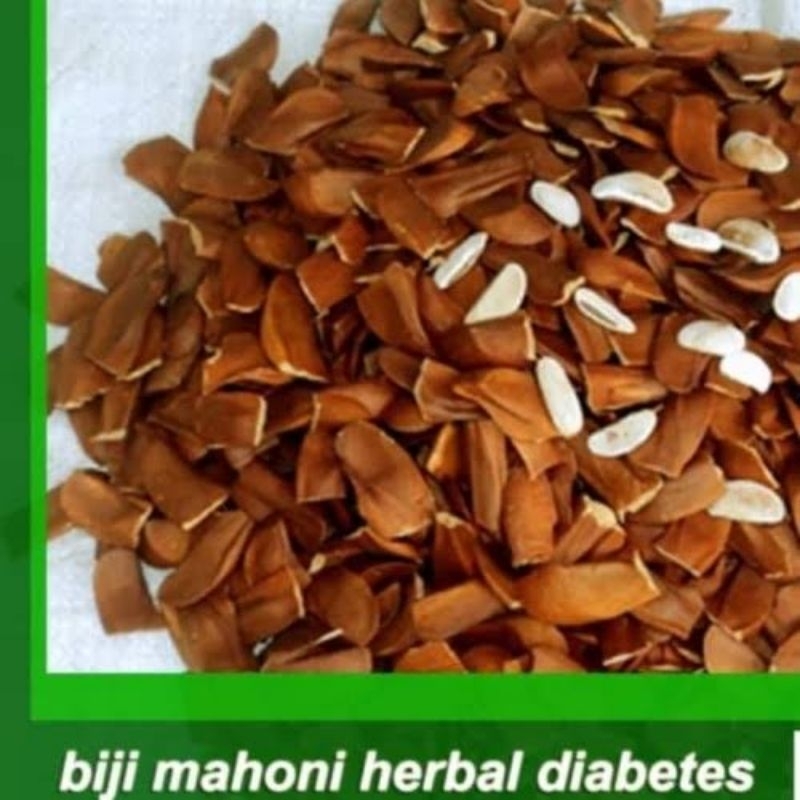 

biji herbal mahoni kaya manfaat