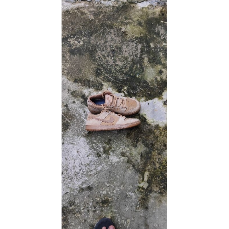 nike sb dunk low pro