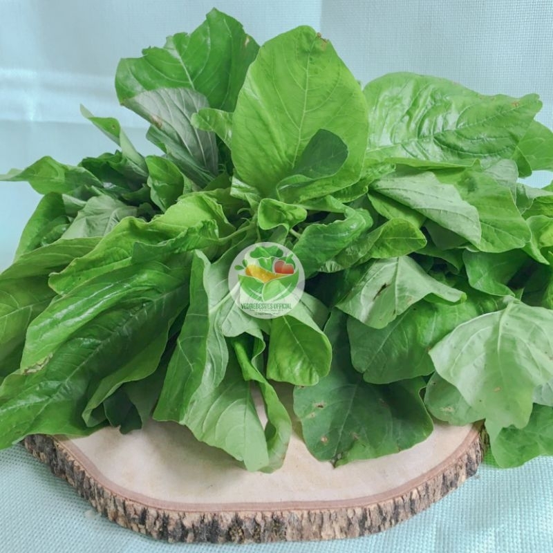 

Daun Bayam Segar 1 Ikat