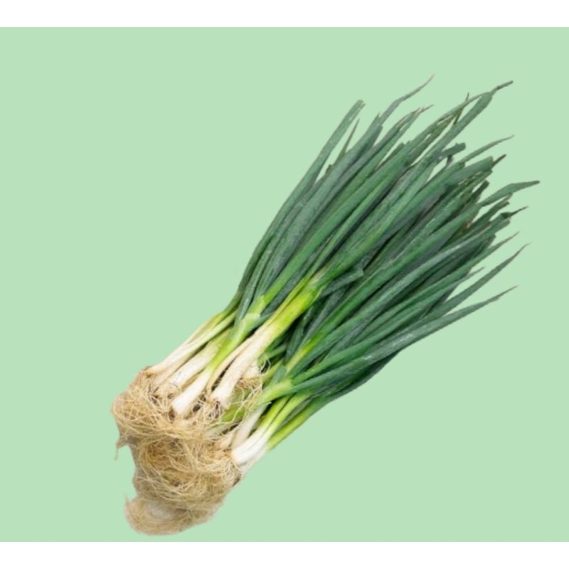 

daun bawang 500 gram