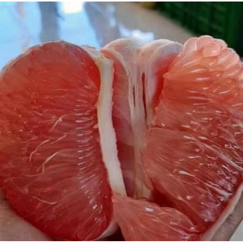 

JERUK BALI ACEH KUPAS JERUK BALI ENAK BERBULIR MANIS DAN SEGAR