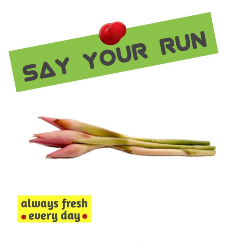 

Sayur Murah!!! Kecombrang per 1 buah