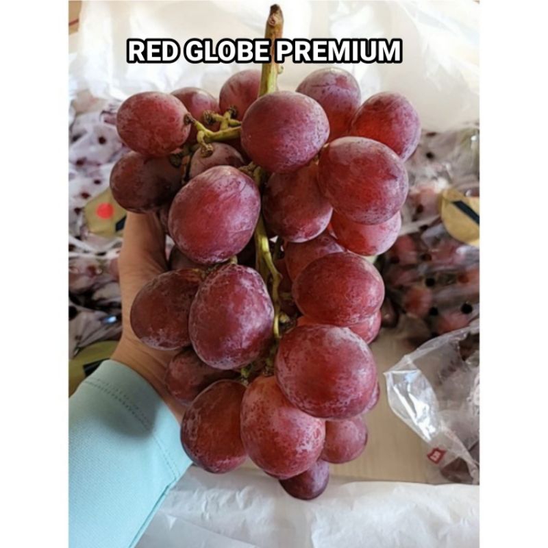 

ANGGUR RED GLOBE PREMIUM ( 1KG ) FRESH MANIS BESAR DAGING TEBAL