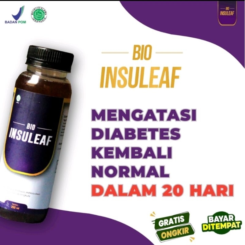 

BIO INSULEAF Herbal Alami Solusi Gula Darah Tinggi Tanpa Obat Kimia | Paket 1 Botol