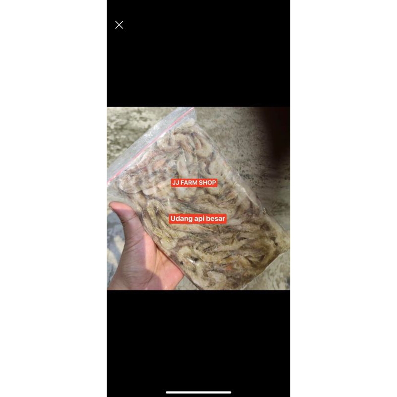 Ay00 UDANG BESAR / UDANG BEKU BESAR 500 GRAM food grade / makanan pakan ikan predator Channa arwana